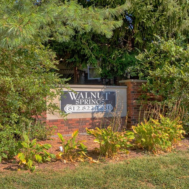 Walnut Springs - A greeny grassland look like a forest